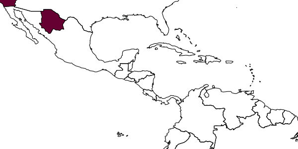 map of Chrysis florissanticola     Rohwer, 1909